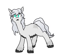 Size: 1563x1200 | Tagged: safe, artist:pony quarantine, oc, oc only, earth pony, pony, yakutian horse, fluffy, looking at you, simple background, snow mare, solo, white background
