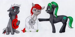 Size: 4096x2032 | Tagged: safe, artist:myzanil, oc, oc only, oc:oracle linux, oc:red hat, oc:rocky linux, earth pony, pony, angry, argument, chest fluff, colored pencil drawing, distro ponies, earth pony oc, family, floppy ears, glasses, grass, gravestone, hat, linux, os pony, pointing, sitting, smiling, smirk, traditional art