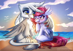 Size: 4961x3508 | Tagged: safe, artist:chaosangeldesu, oc, oc only, griffon, hippogriff, blushing, commission, couple, cute, romantic, sunset