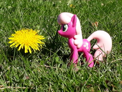 Size: 4128x3096 | Tagged: safe, artist:dingopatagonico, cheerilee, earth pony, pony, g4, flower, irl, photo, solo, toy