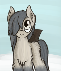 Size: 1500x1750 | Tagged: safe, artist:ahorseofcourse, oc, oc only, oc:cold seeker, pony, yakutian horse, female, fluffy, hair over one eye, looking up, mare, simple background, smiling, snow mare