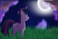 Size: 1894x1259 | Tagged: safe, artist:lincolnbrewsterfan, derpibooru exclusive, twilight sparkle, alicorn, pony, my little pony: the movie, .svg available, beautiful, butt, cloud, female, field, folded wings, full moon, grass, grass field, happy, labor day, looking at something, looking up, mare, moon, movie accurate, nc-tv signature, night, night sky, peaceful, plot, rear view, signature, sky, smiling, solo, special, standing, stargazing, starry night, stars, svg, twibutt, twilight sparkle (alicorn), vector, watermark, wings