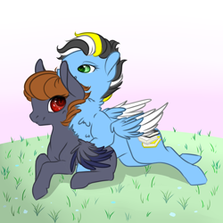 Size: 2834x2834 | Tagged: safe, artist:schokocream, oc, oc only, pegasus, pony, base used, chest fluff, female, grass, high res, lying down, mare, outdoors, pegasus oc, prone, smiling, two toned wings, wings