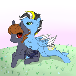 Size: 2834x2834 | Tagged: safe, artist:schokocream, oc, oc only, pegasus, pony, base used, chest fluff, duo, female, grass, high res, lying down, mare, outdoors, pegasus oc, prone, smiling, two toned wings, wings