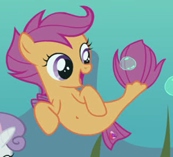 Size: 330x300 | Tagged: safe, edit, edited screencap, screencap, scootaloo, sweetie belle, fish, pegasus, pony, seapony (g4), g4, surf and/or turf, belly button, bubble, coral, cropped, cute, cutealoo, cutie mark crusaders, dorsal fin, female, filly, fin, fin wings, fins, fish tail, flowing mane, flowing tail, foal, ocean, offscreen character, open mouth, open smile, sea-mcs, seaponified, seapony scootaloo, seaquestria, seaweed, smiling, solo focus, species swap, spread wings, swimming, tail, underwater, water, wings