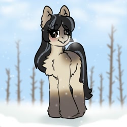Size: 2000x2000 | Tagged: safe, artist:spoopygander, oc, oc only, oc:cold shoulder, earth pony, pony, yakutian horse, female, high res, snow mare, solo