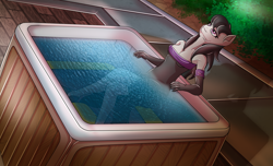 Size: 2800x1700 | Tagged: safe, artist:elmutanto, octavia melody, earth pony, anthro, plantigrade anthro, g4, bare shoulders, clothed bath, clothes, dress, female, hot tub, jacuzzi, mare, pony ears, water