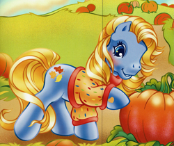 Size: 2141x1801 | Tagged: safe, artist:lyn fletcher, autumn skye, earth pony, pony, g3, blushing, clothes, female, heart, heart eyes, pumpkin, solo, the perfect pumpkin, wingding eyes