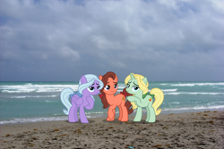 Size: 1920x1280 | Tagged: safe, artist:fruft, dear darling, fond feather, swoon song, earth pony, pegasus, pony, unicorn, g4, beach, bimbettes, bow, female, florida, hair bow, hollywood, irl, lidded eyes, looking at you, mare, ocean, photo, ponies in real life, raised hoof, smiling, tail, tail bow, trio