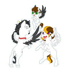 Size: 1000x1000 | Tagged: safe, artist:schokocream, oc, pegasus, pony, female, filly, male, mare, pegasus oc, rearing, simple background, stallion, transparent background, two toned wings, wings