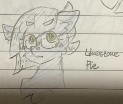 Size: 1121x945 | Tagged: safe, artist:metaruscarlet, limestone pie, earth pony, pony, g4, chest fluff, female, lined paper, mare, sketch, solo, traditional art