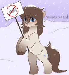 Size: 3115x3387 | Tagged: safe, artist:vetta, oc, oc only, oc:frosty flakes, earth pony, fish, pony, yakutian horse, adventure in the comments, bipedal, female, high res, holding sign, sign, snow mare, solo