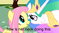 Size: 1000x563 | Tagged: safe, edit, edited screencap, screencap, fluttershy, princess celestia, alicorn, pegasus, pony, a bird in the hoof, g4, season 1, caption, crown, duo, eyelashes, horn, jewelry, long neck, looking at each other, open mouth, open smile, peytral, princess necklestia, regalia, smiling, smiling at each other, text