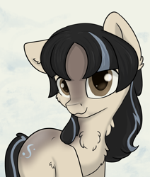 Size: 2200x2600 | Tagged: safe, artist:dumbwoofer, oc, oc only, oc:cold shoulder, pony, yakutian horse, chest fluff, coat markings, cute, ear fluff, ears, facial markings, female, floppy ears, fluffy, high res, looking at you, mare, snow mare, solo