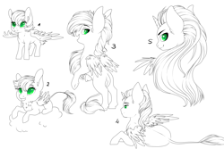 Size: 6377x4251 | Tagged: safe, artist:schokocream, oc, oc only, oc:lightning bliss, alicorn, pony, alicorn oc, bust, female, horn, leonine tail, lying down, male, mare, partial color, prone, rearing, smiling, stallion, wings