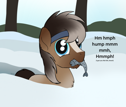 Size: 1568x1329 | Tagged: safe, artist:dyonys, oc, oc only, oc:ice shard, fish, pony, yakutian horse, cute, fluffy, headband, male, mouth hold, ocbetes, snow, solo, stallion, talking to viewer, text