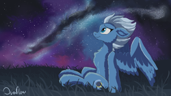 Size: 2560x1440 | Tagged: safe, artist:akuneanekokuro, night glider, pegasus, pony, g4, blue eyes, cutie mark, female, grass, looking up, mare, night, side view, sitting, sky, smiling, solo, starry night, stars, wings
