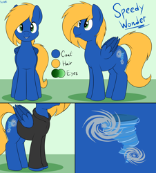 Size: 3502x3868 | Tagged: safe, artist:an-tonio, oc, oc only, oc:speedy wonder, pegasus, pony, high res, male, reference sheet, solo