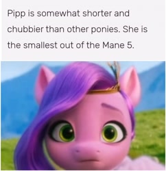 Size: 1496x1544 | Tagged: safe, edit, edited screencap, screencap, pipp petals, pegasus, pony, g5, my little pony: a new generation, spoiler:my little pony: a new generation, female, mare, mlp wiki, pipp is chubby, pipp is short, pipp is smol, short, smol, text