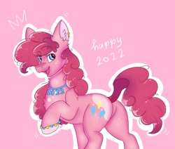 Size: 4000x3384 | Tagged: safe, artist:valkiria, pinkie pie, earth pony, pony, g4, balloonbutt, butt, female, happy new year, holiday, jewelry, mare, necklace, open mouth, open smile, plot, raised hoof, smiling, solo