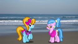 Size: 1920x1078 | Tagged: safe, artist:mlplover94, artist:tsabak, surf, turf, earth pony, pony, g4, beach, bow, california, clothes, female, irl, mare, photo, ponies in real life, san francisco, sunglasses, tail, tail bow