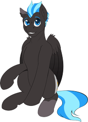 Size: 2327x3212 | Tagged: safe, artist:wcnimbus, oc, oc:nimbus, pegasus, pony, 2022 community collab, derpibooru community collaboration, blue eyes, blue hair, colored wings, gradient wings, gray coat, high res, looking at you, male, simple background, sitting, solo, splotches, transparent background, wings