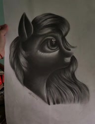 Size: 1080x1403 | Tagged: safe, artist:henry forewen, pony, bust, monochrome, sketch, solo, traditional art