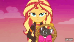 Size: 640x360 | Tagged: safe, screencap, sunset shimmer, cat, human, equestria girls, equestria girls specials, g4, my little pony equestria girls: better together, my little pony equestria girls: sunset's backstage pass, animated, clothes, dreamworks face, female, gif, gifs.com, hattie, jacket, kitten, leather, leather jacket, music festival outfit, smiling, smirk, smug, smugset shimmer, sunset