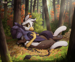 Size: 3000x2500 | Tagged: safe, artist:uliovka, oc, oc only, oc:nyn indigo, oc:ospreay, griffon, hybrid, original species, timber pony, timber wolf, commission, crepuscular rays, eared griffon, folded wings, forest, gay, grass, high res, hug, leaves, male, oc x oc, scenery, shipping, smiling, tree, wings