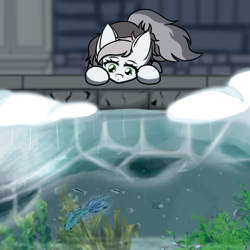 Size: 1500x1500 | Tagged: safe, artist:alistair504, oc, bat pony, fish, pony, looking at something, partially submerged, solo, underwater, water