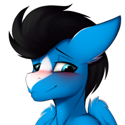 Size: 3000x3000 | Tagged: safe, artist:trast113, oc, oc only, oc:enduro elite, pegasus, pony, blushing, bust, commission, high res, male, portrait, shy, solo, stallion