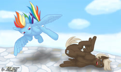 Size: 5000x3000 | Tagged: safe, artist:alfa007, dumbbell, rainbow dash, pegasus, pony, g4, angry, butt, cloud, cloudsdale, duo, duo male and female, female, fight, flying, kicking, male, mare, open mouth, plot, spread wings, stallion, tongue out, wings