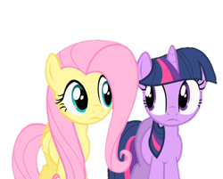 Size: 894x720 | Tagged: safe, edit, edited screencap, screencap, fluttershy, twilight sparkle, pegasus, pony, unicorn, a bird in the hoof, g4, season 1, background removed, female, looking at each other, looking at someone, not a vector, simple background, transparent background, unicorn twilight