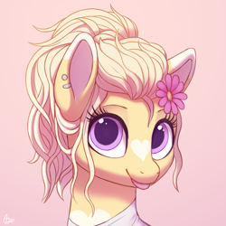 Size: 1500x1500 | Tagged: safe, artist:luminousdazzle, oc, oc only, oc:vanilla heart, earth pony, pony, :p, bust, coat markings, colored eartips, cute, ear markings, ear piercing, earth pony oc, eyelashes, facial markings, female, flower, flower in hair, heart mark, looking at you, mare, piercing, pink background, ponytail, portrait, purple eyes, signature, simple background, smiling, smiling at you, solo, star (coat marking), tongue out