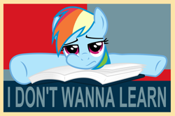 Size: 3007x1995 | Tagged: safe, artist:itchykitchy, rainbow dash, pegasus, pony, g4, book, bored, female, frown, high res, hope poster, mare, rainbow dumb, solo
