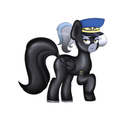 Size: 2000x2000 | Tagged: safe, artist:a_friendly_guest, part of a set, oc, oc:cloudy gale, pegasus, pony, bondage, encasement, high res, latex, looking at you, rubber, shiny, simple background, solo, transparent background, wonderbolts cap