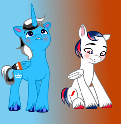 Size: 1280x1308 | Tagged: safe, artist:xxaliciarainbowartxx, oc, alicorn, pegasus, pony, g5, my little pony: a new generation, air france, base used, duo, klm, male, ponified