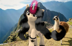 Size: 1280x820 | Tagged: safe, artist:xxaliciarainbowartxx, edit, oc, unnamed oc, llama, pony, unicorn, g5, my little pony: a new generation, horn, irl, peru, photo, ponies in real life, recolor, unicorn oc