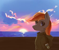 Size: 2398x2048 | Tagged: safe, artist:starccec, oc, oc only, oc:felix gulfstream, pegasus, pony, ace combat, beach, clothes, high res, jacket, male, osea, solo, sunset