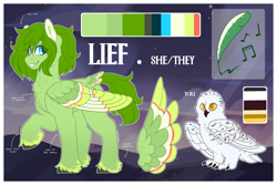 Size: 3000x2000 | Tagged: safe, artist:liefsong, oc, oc only, oc:lief, bird, owl, pegasus, snowy owl, chest fluff, colored wings, feathered fetlocks, multicolored wings, pet, reference, reference sheet, tail, tail feathers, wings
