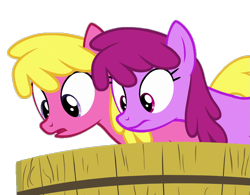 Size: 1383x1080 | Tagged: safe, edit, edited screencap, screencap, berry punch, berryshine, cherry berry, earth pony, pony, g4, on your marks, season 6, background removed, duo, female, looking down, mare, not a vector, simple background, transparent background