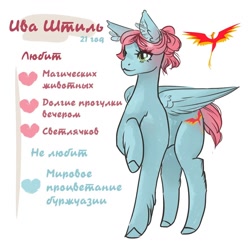 Size: 1080x1080 | Tagged: safe, artist:willow_twig_7, oc, oc only, oc:ива штиль, pegasus, pony, cyrillic, reference sheet, russian, translated in the comments