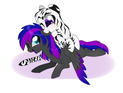 Size: 2592x1944 | Tagged: safe, artist:kaikururu, oc, oc only, pegasus, pony, zebra, duo, eyelashes, one eye closed, pegasus oc, simple background, transparent background, wings, wink, zebra oc