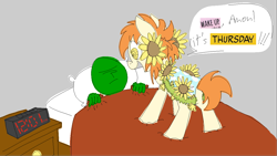 Size: 2320x1306 | Tagged: safe, artist:skookz, oc, oc only, oc:anon, oc:thursday, earth pony, human, pony, bed, cloak, clothes, duo, female, flower, flower in hair, mare, ponified, simple background, speech bubble, sunflower, text, thursday, weekday ponies, wingding eyes