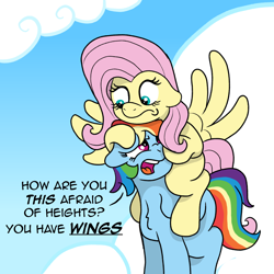 Size: 1790x1790 | Tagged: safe, artist:doodledonutart, fluttershy, rainbow dash, pegasus, pony, g4, comic, duo, duo female, female, fluttershy riding rainbow dash, mare, ponies riding ponies, riding, riding a pony