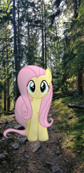 Size: 644x1325 | Tagged: safe, artist:icetea, fluttershy, pegasus, pony, g4, female, forest, forest background, irl, photo, ponies in real life, real life background, solo