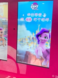 Size: 3024x4032 | Tagged: safe, pipp petals, sunny starscout, earth pony, pegasus, pony, g5, my little pony: a new generation, china, shanghai