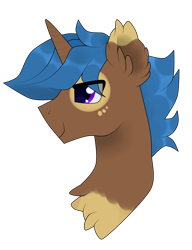 Size: 1509x1961 | Tagged: safe, artist:kaikururu, oc, oc only, pony, unicorn, chest fluff, ear fluff, horn, male, simple background, smiling, solo, stallion, transparent background, unicorn oc