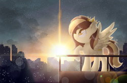 Size: 2000x1300 | Tagged: safe, artist:jadebreeze115, oc, oc only, oc:prince whateverer, pegasus, pony, balcony, city, cityscape, lens flare, solo, spread wings, sunrise, wings