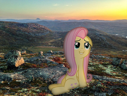 Size: 1200x900 | Tagged: safe, fluttershy, pegasus, pony, g4, floppy ears, folded wings, gritted teeth, irl, looking up, mountain, mountain range, nature, photo, ponies in real life, sitting, smiling, sundown, wings